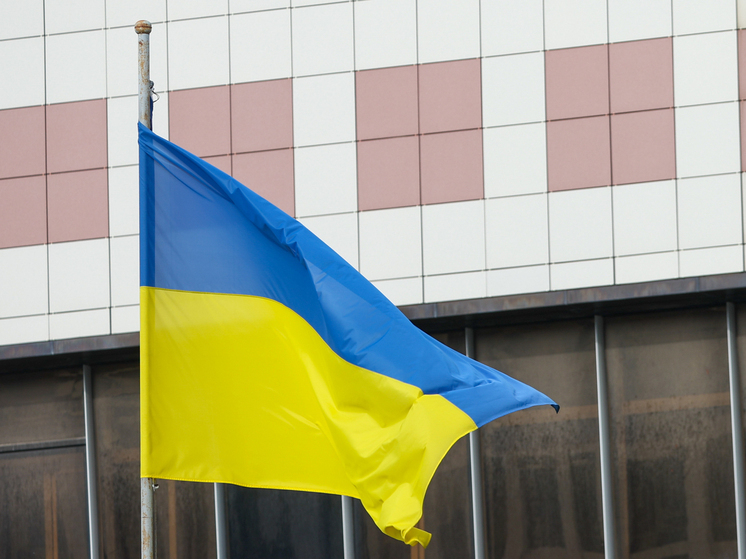 Блогер Шарий обвинил нового вице-премьера Украины Федорова в мошенничестве