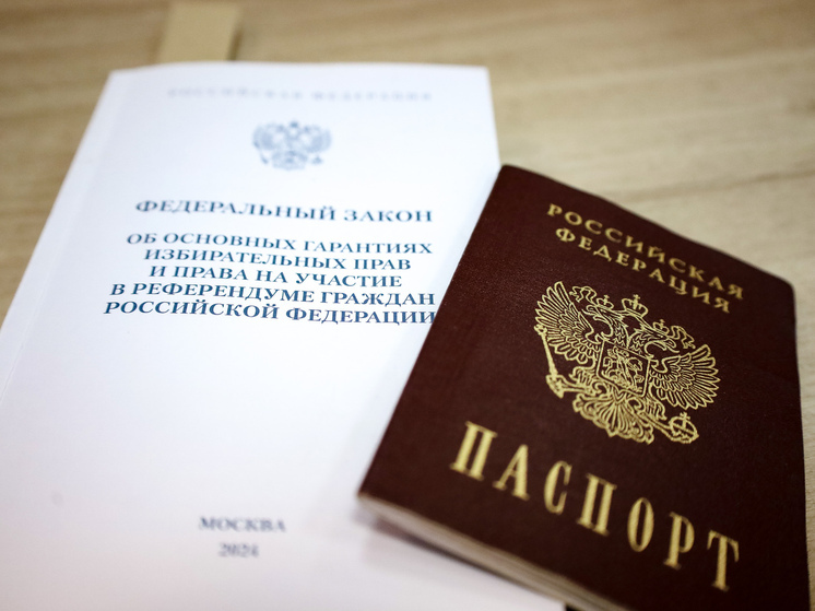Единый день голосования в России: онлайн-трансляция