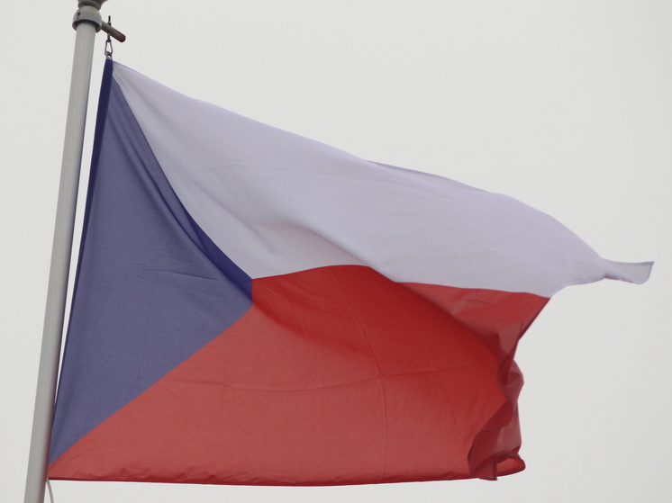 В Праге идет 10-тысячный протест против назначения премьер-министром Андрея Бабиша