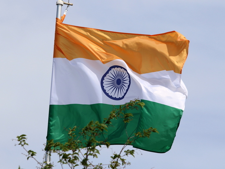 МИД Индии: страна в импорте энергоносителей ориентируется на интересы своих потребителей