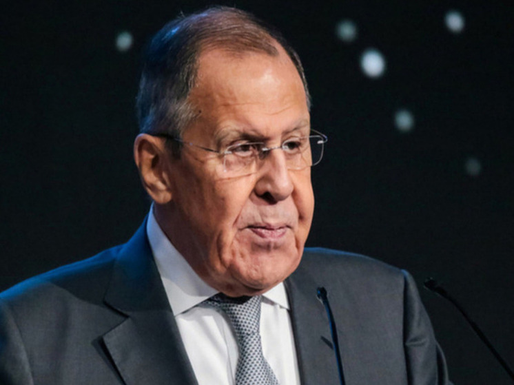 Лавров: финские элиты не смогли излечиться от животной русофобии