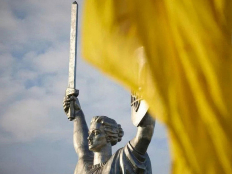 Ким Шмитц заявил, что проект "Украина" завершен