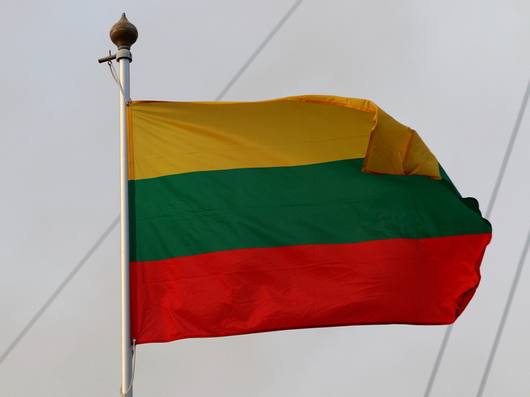 Синкявичюс заявил о необходимости ограничения транспортного сообщения с Калининградской областью