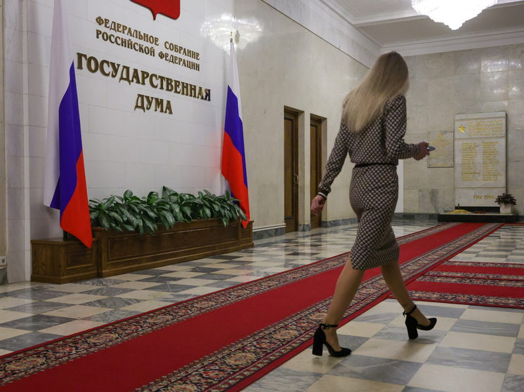 В Госдуме пояснили, что Россия не будет наносить удары по АЭС Украины