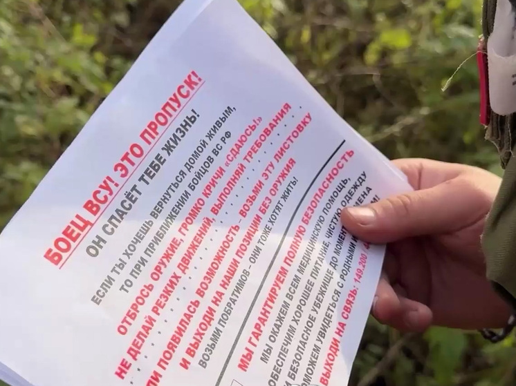 Группировки ВСУ в Покровске и Мирнограде доживают последние дни