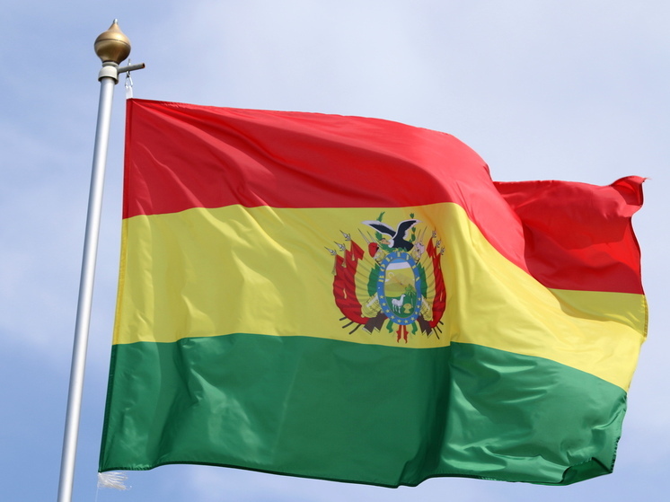 Хейфец: будущее России в Боливии неопределенно после победы нового президента