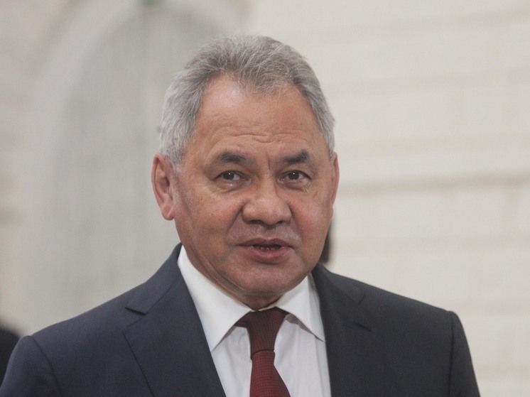 Секретарь Совбеза Шойгу: Запад пытается расчленить Россию на части