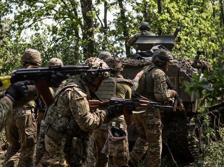 Mash: пограничники не допустили прорыва украинской ДРГ в Брянскую область
