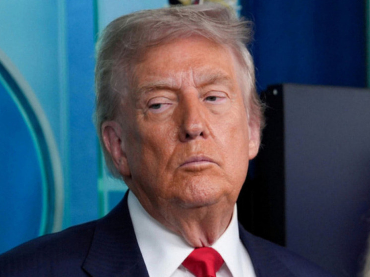 Politico: заявления Трампа Зеленскому контрастируют с красной дорожкой для Путина