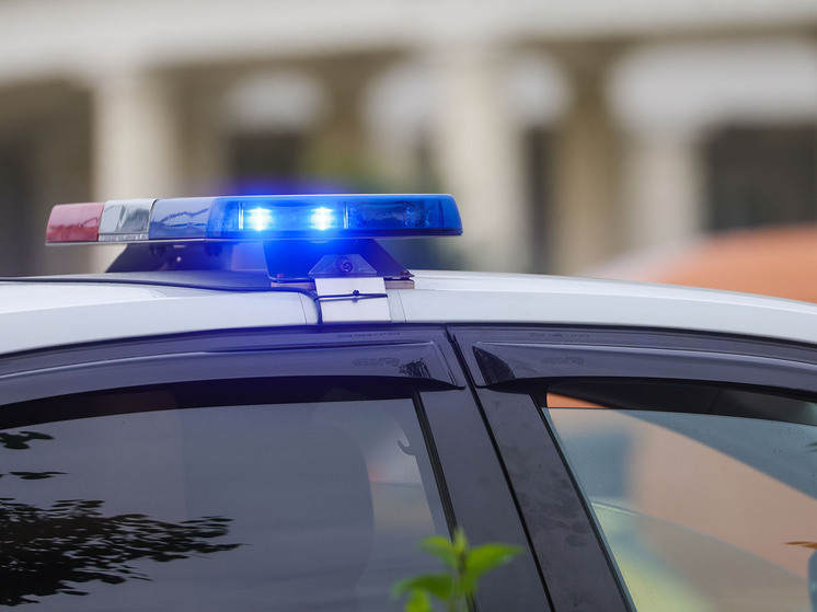 Стало известно, на кого диверсанты готовили покушение в Москве