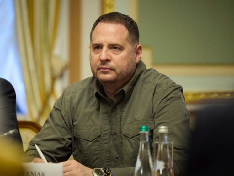 Нардеп Скороход заявила о возможной подготовке Ермаком замены Зеленскому