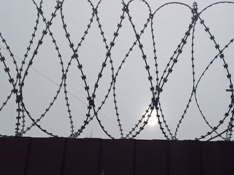 Афганские СМИ сообщили о гибели экс-премьера Пакистана Имрана Хана в тюрьме