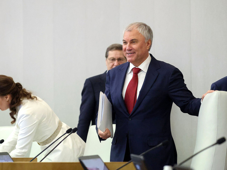 В Госдуме бюджет приняли единогласно, но один голос против всё же был