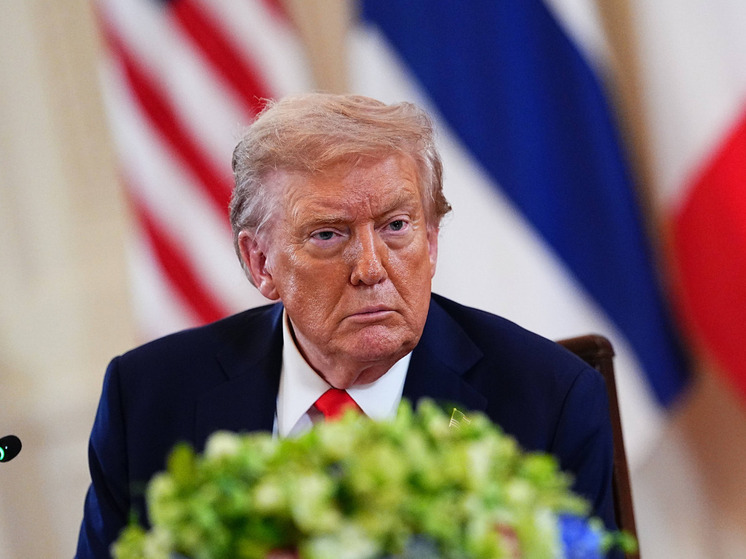 Трамп: Украина получит много земли