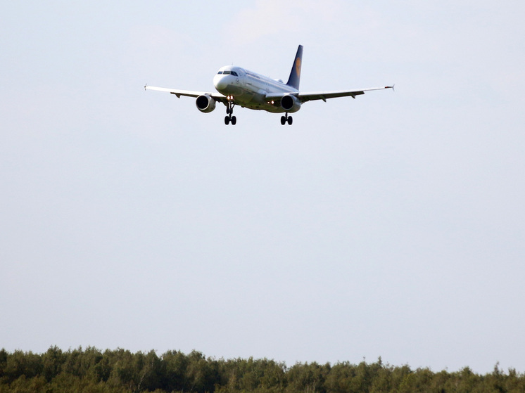 Украинцы призывают провести операцию «Паутина 2.0» на территории Венгрии