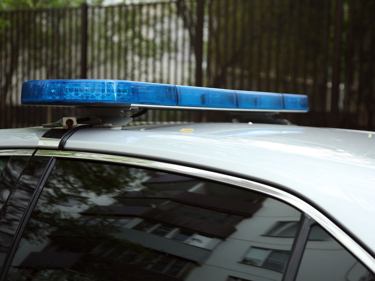 В Нидерландах задержали двух подростков за шпионаж в пользу России