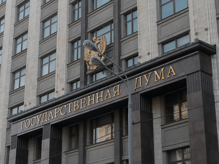 В Госдуме ответили на идею Алаудинова призвать миллион россиян