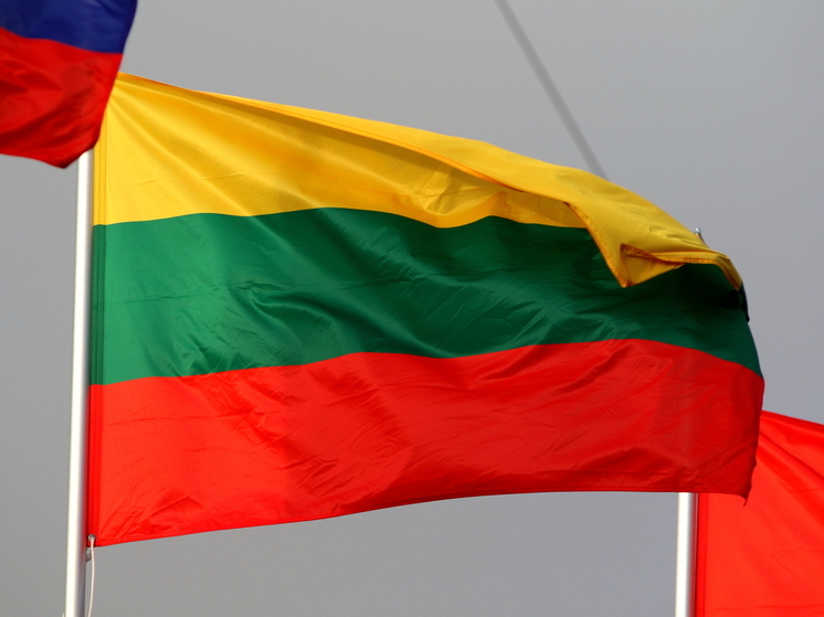 Глава литовской оппозиции Чмилите-Нильсен: ситуация на границе с РБ грозит отставкой правительства