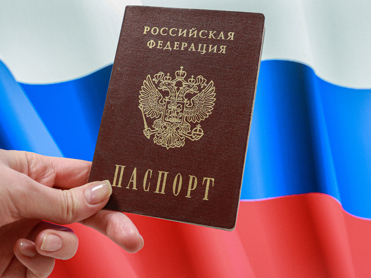 МВД: при министерстве есть рабочая группа, помогающая депортируемым из Латвии