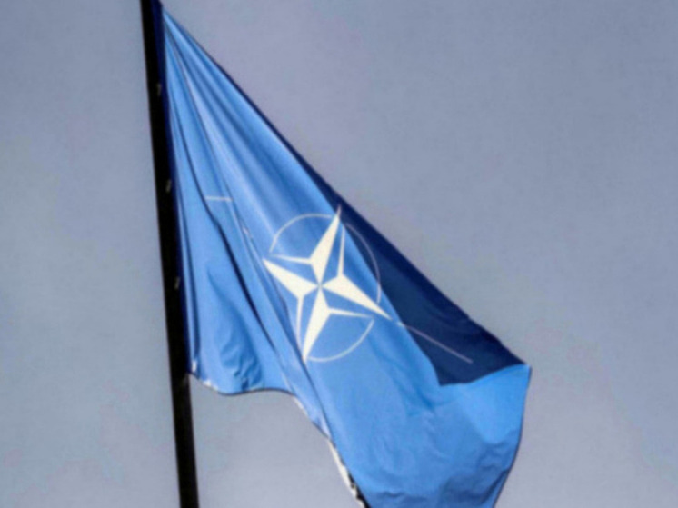Адмирал Драгоне: НАТО может ужесточить правила реагирования на нарушения
