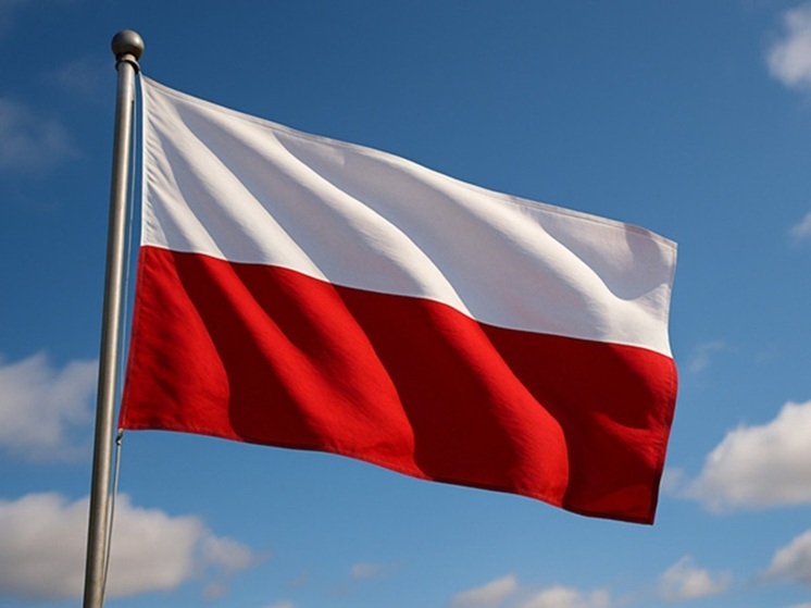 В Польше снова нашли обломки предполагаемого беспилотника