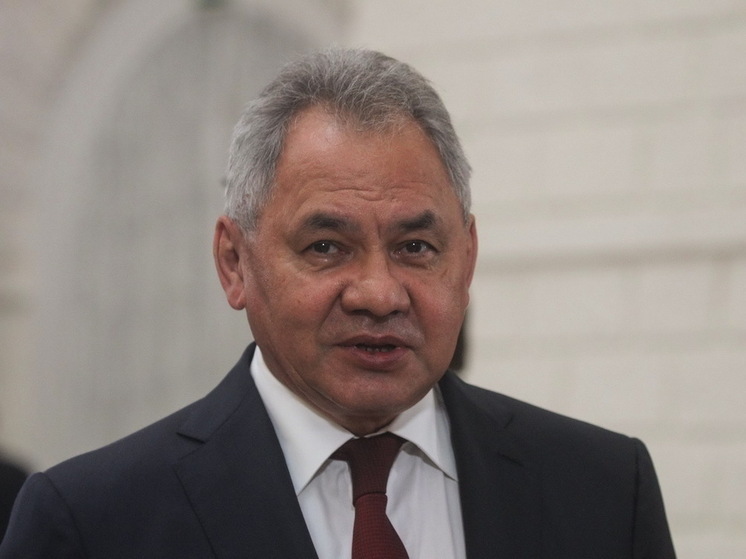 Депутат Швыткин: удар по безопасности РФ был целью попытки покушения на Шойгу