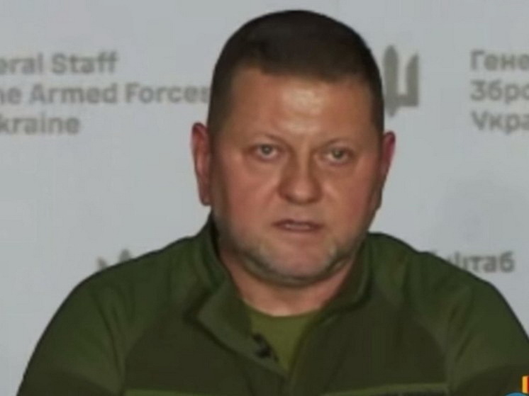 Военкор Коц: в случае назначения Залужного президентом Украины СВО не кончится