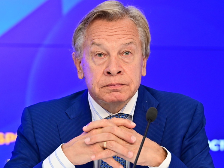 Сенатор Пушков: политическое насилие является частью «американской демократии»