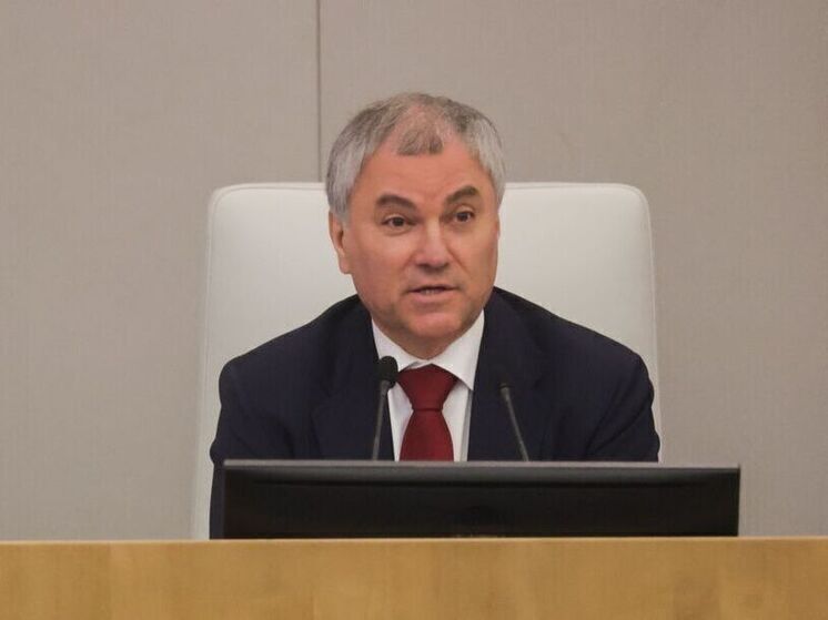 Спикер Госдумы Володин: трудовые мигранты не должны везти в Россию свои семьи